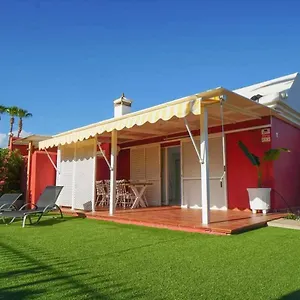 Albaricoques Maspalomas (Gran Canaria)